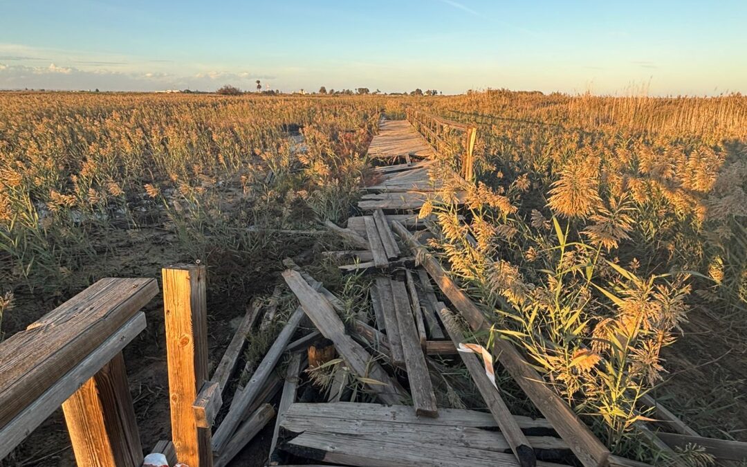 PLEAMAR EXIGE UN PLAN REAL PARA LA HITA Y RECUERDA QUE LAS ADMINISTRACIONES HAN TENIDO UN AÑO PARA ACTUAR